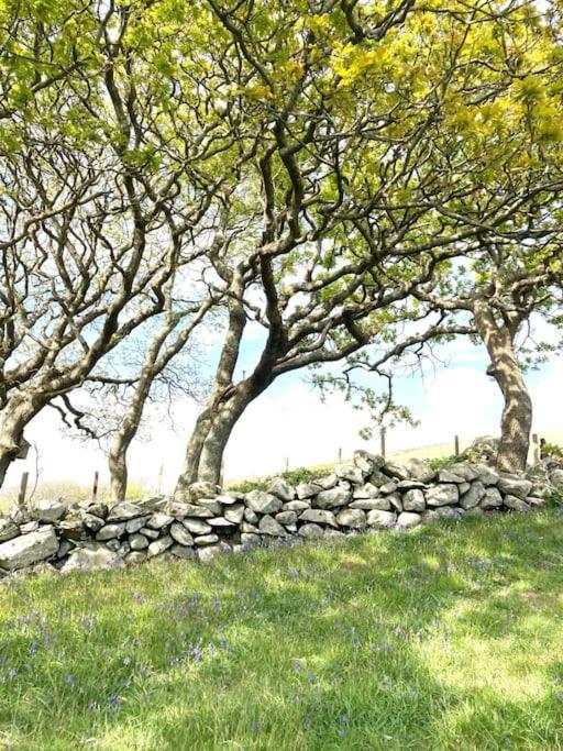 Hotel Cwt Y Bugail Barmouth Zewnętrze zdjęcie